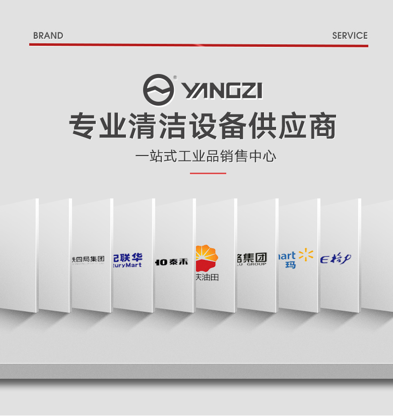 揚子DT1三合一電動(dòng)手推式地毯抽洗機酒店吸塵器賓館毛毯清潔機